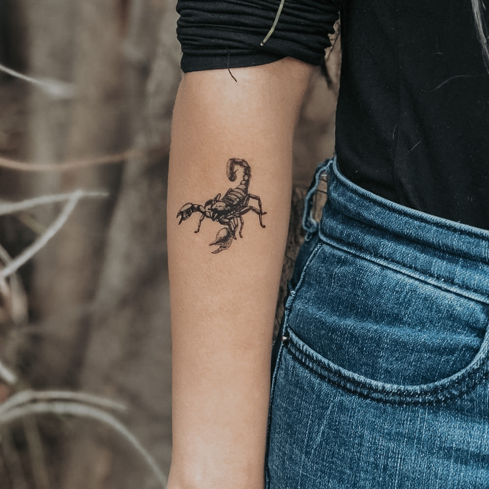 Black Scorpion Temporary Tattoo